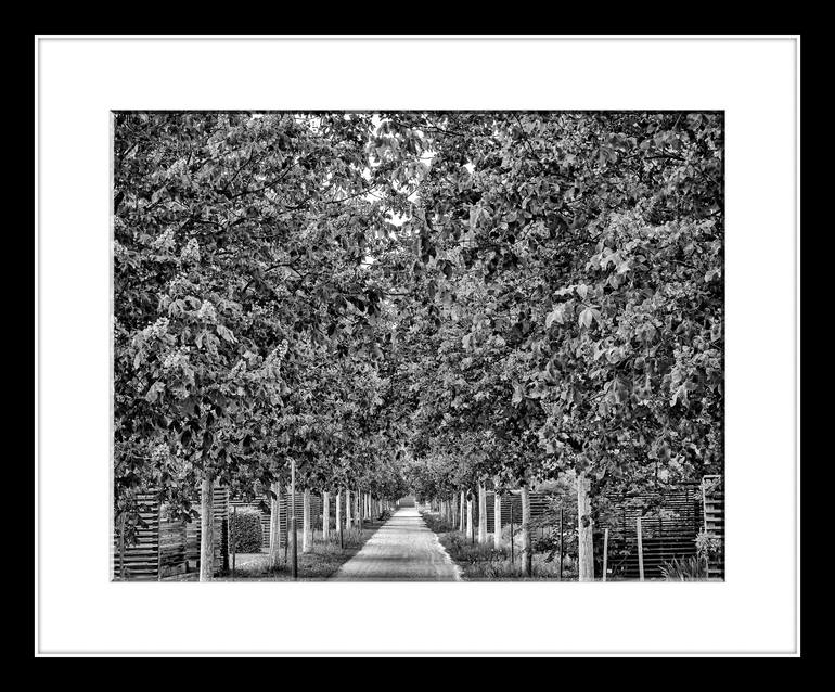 Original Other Landscape Photography by Leopold Brix