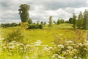 Print of Fine Art Landscape Photography by Leopold Brix