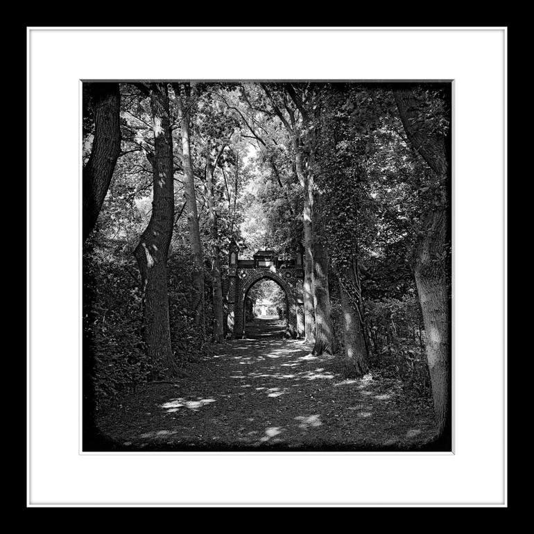 Original Expressionism Landscape Photography by Leopold Brix