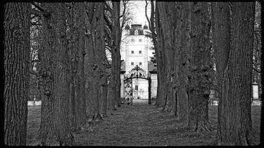 Palace of Greilenstein - Limited Edition of 10 image