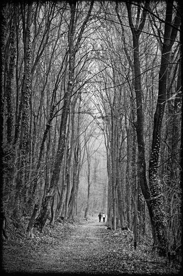 Forest path at Kalksburg - Limited Edition of 10 thumb