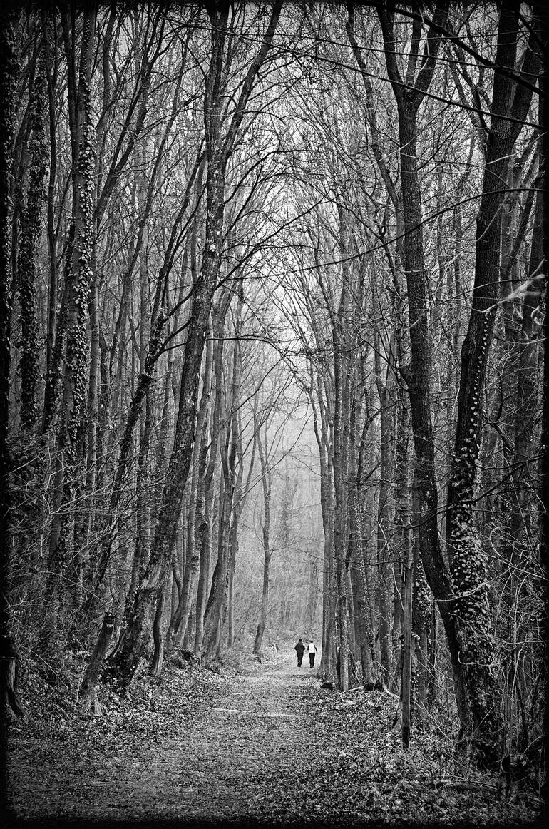 Forest path at Kalksburg - Limited Edition of 10
