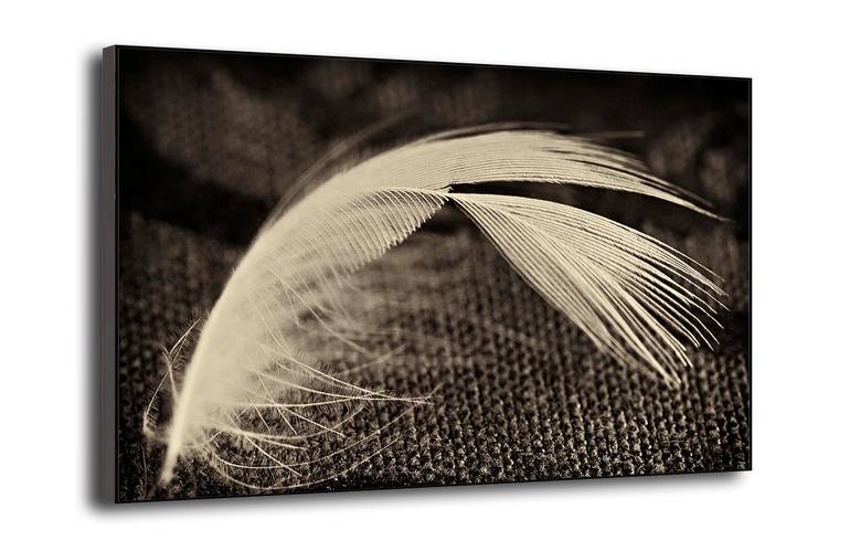 Original Expressionism Still Life Photography by Leopold Brix