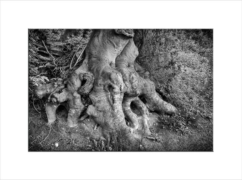 Original Other Landscape Photography by Leopold Brix