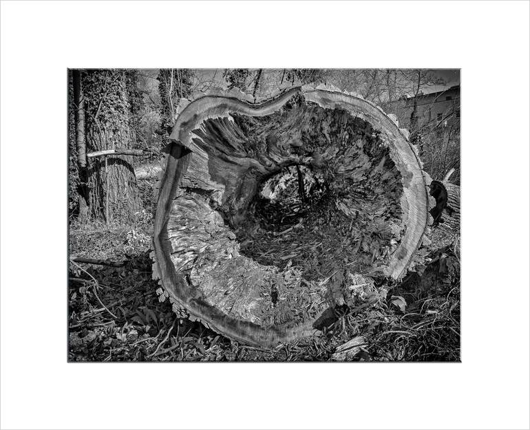 Original Other Landscape Photography by Leopold Brix