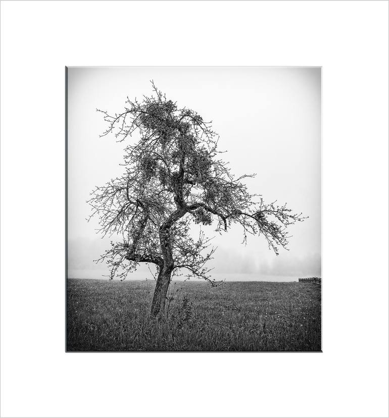 Original Other Landscape Photography by Leopold Brix