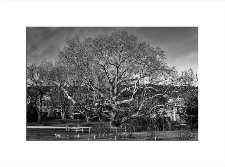 Original Other Landscape Photography by Leopold Brix