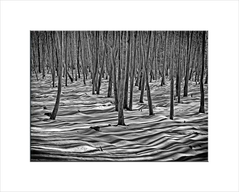 Original Other Landscape Photography by Leopold Brix