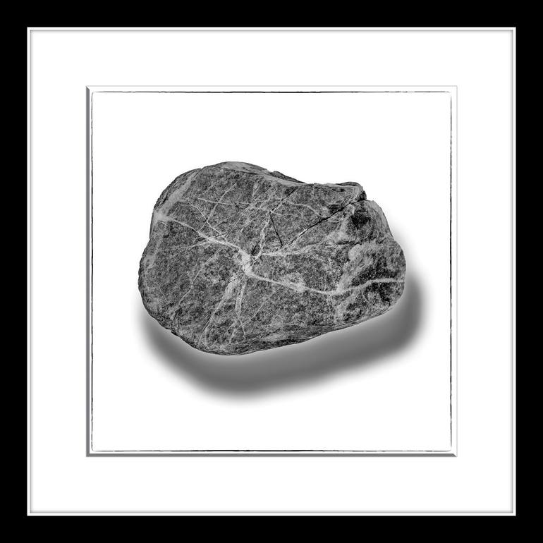 Original Other Still Life Photography by Leopold Brix