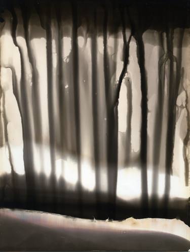 Original Abstract Expressionism Landscape Photography by Mihaela Ivanova