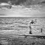 Collection Ryan White (Interior Designer)