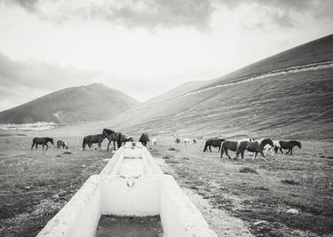 Original Documentary Horse Photography by Alessandro Passerini