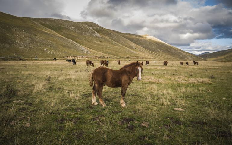 Original  Photography by alessandro passerini