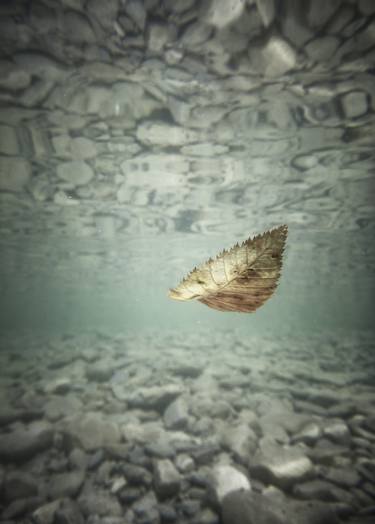 Original Documentary Water Photography by Alessandro Passerini