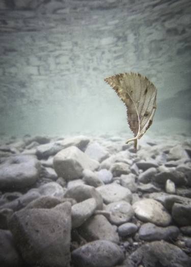 Print of Documentary Water Photography by Alessandro Passerini