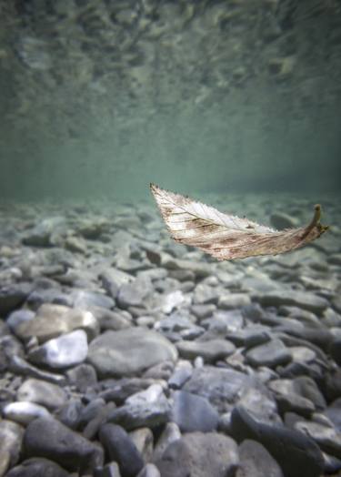 Print of Water Photography by Alessandro Passerini