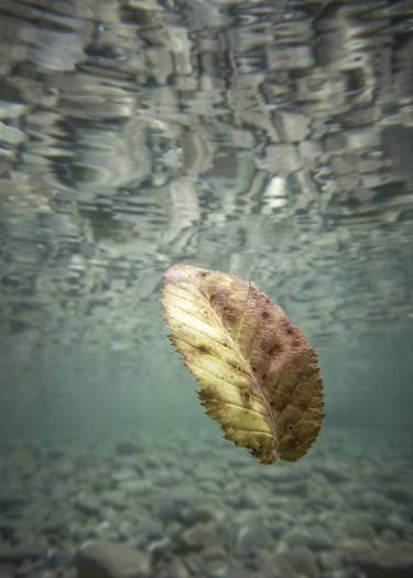Print of Water Photography by Alessandro Passerini