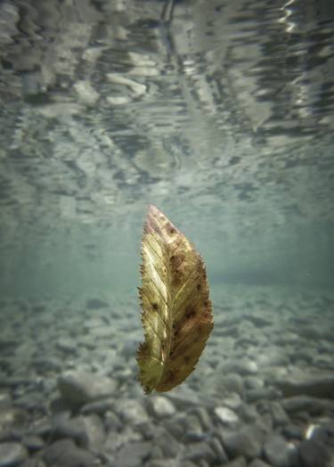 Original Documentary Water Photography by Alessandro Passerini