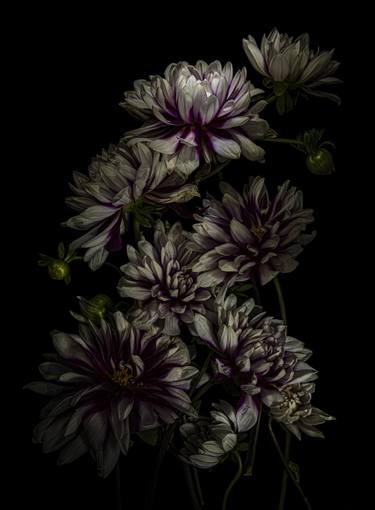 Original Fine Art Floral Photography by Dale Grant