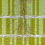 Detail 2 (reflection)