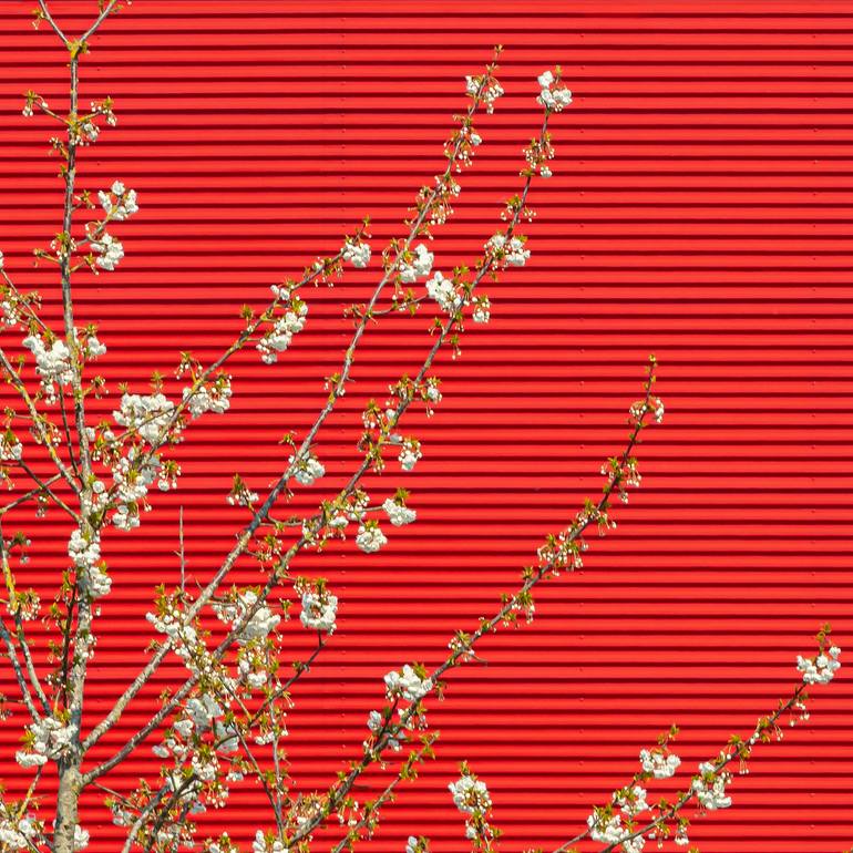 Original Abstract Landscape Photography by Paul Brouns
