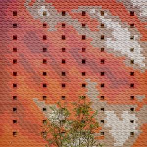 Collection Trending Now: Abstracts