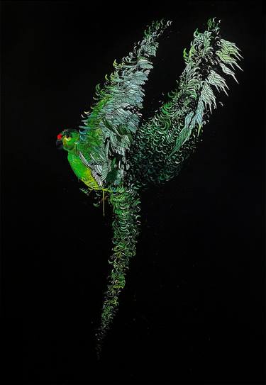 Western Ground Parrot - Limited Edition 1 of 1 thumb