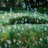 Collection Calm Large Format Landscape Photography