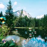 Collection Calm Large Format Landscape Photography