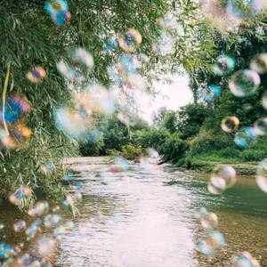 Collection Calm Large Format Landscape Photography