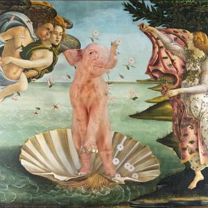 Dream On // Venus