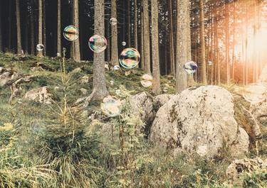 Original Conceptual Nature Photography by Marlies Plank