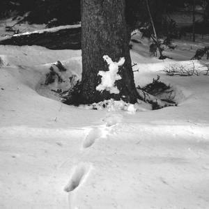 Collection Natura
