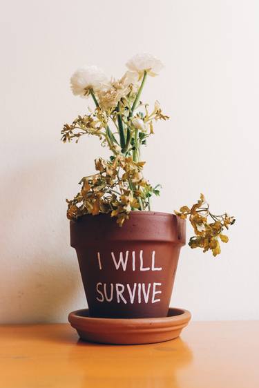 I will survive - Limited Edition of 8 thumb