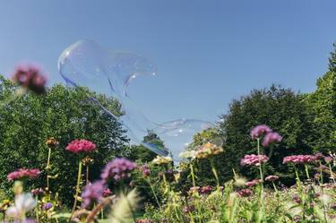 Soapbubble Studies- Spring Meadow - Limited Edition 1 of 15 thumb