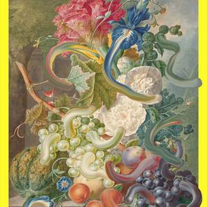 Collection Vetus et Novum