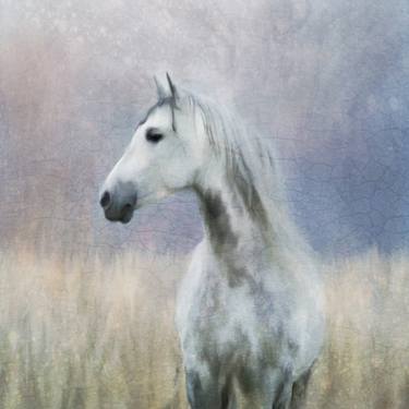 Print of Realism Horse Paintings by Katrina Jones