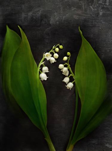 Floral Painting Lily of the Valley on grey thumb