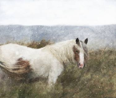 Original Horse Paintings by Katrina Jones