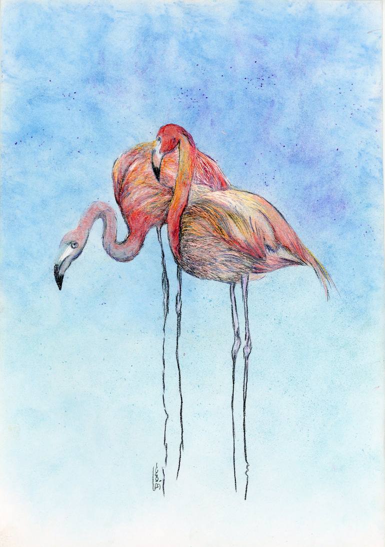 flamingos drawings