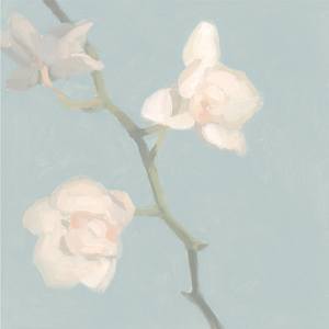 Orchid 2