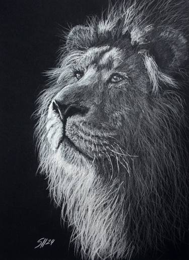 Original Conceptual Animal Drawings by Svetlana Samovarova