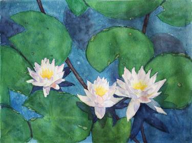 White Lotus Flowers. Pond thumb