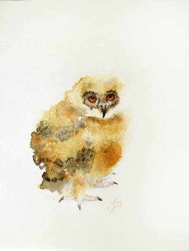 Baby Owl I thumb