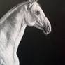view additional image 1