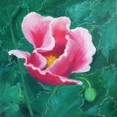 PINK POPPY thumb