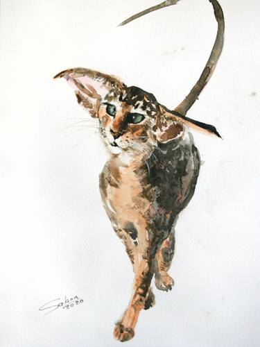 Print of Cats Paintings by Svetlana Samovarova