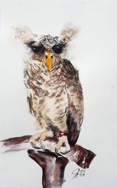 Original Animal Paintings by Svetlana Samovarova