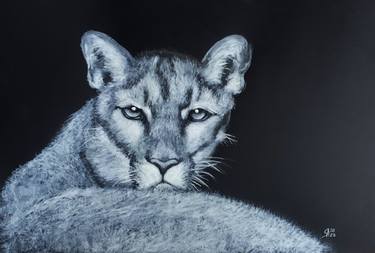 Original Animal Drawings by Svetlana Samovarova