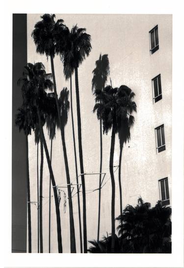 Los Angeles Palm Trees - Limited Edition of 1 thumb